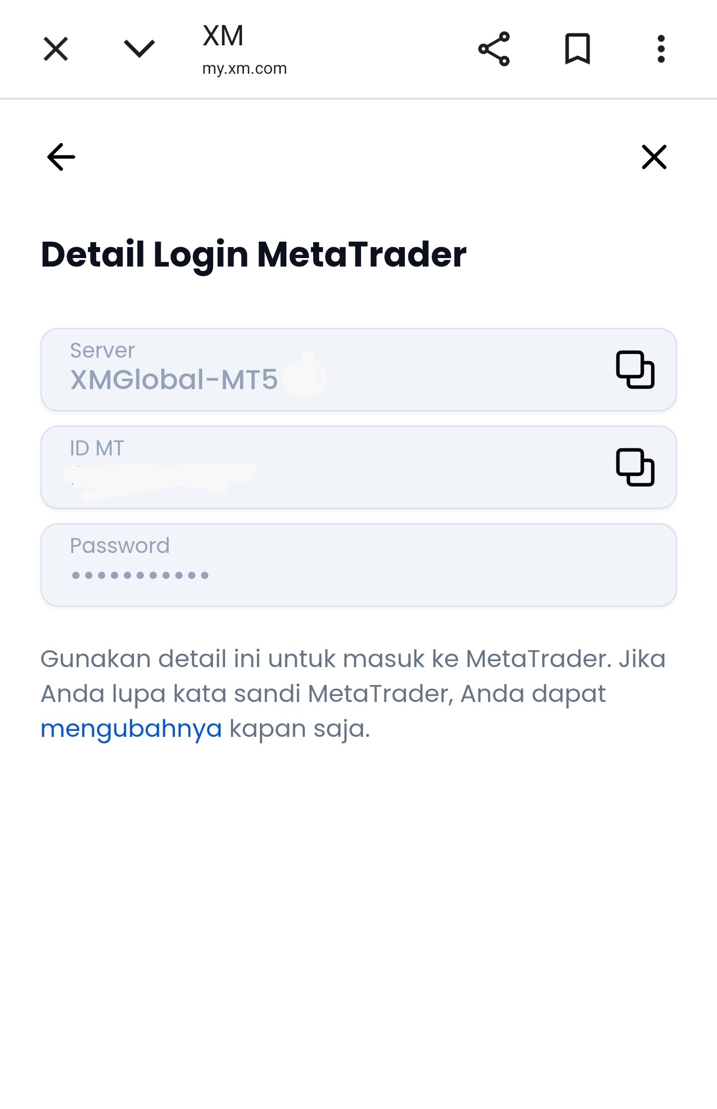 Detail Login MetaTrader di XM yang menampilkan informasi akun MT5 dan nama server.